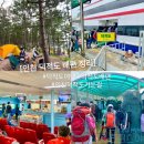 인천 덕적도 배편 예약 시간 덕적도 여행 가는길