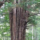 길림농장 이미지