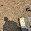 (구)조곡동사무소 옆 화장실 | 벚꽃캠핑 하기 좋은 모구리야영장 H14 캠핑 후기