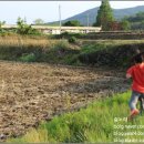 작은도서관 오월의숲 이미지