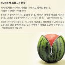 보성광고 이미지