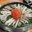 고산흑염소 이미지