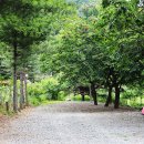 별천지야영장 이미지