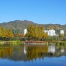 가락로63번길 이미지