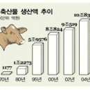 충남닭오리 이미지