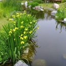 창포농장 이미지