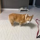 새벽
