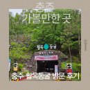 충주 가볼만한 곳. 활옥동굴 주차, 입장료