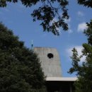 버드나루로 이미지