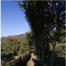 바닷가이솝아저씨네집 이미지