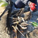 삼거리펜션민박 이미지