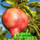 신천리슈퍼 이미지