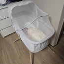 신생아 아기침대 라비베베 스윙침대 후기 이거 사고 신생아 육퇴 2시간 빨라짐!(임신 선물 추천)