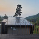 하동농협하나로마트중앙점 이미지