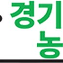 영농회사 밀크 마이스터