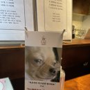 타코밤즈 타코야끼 이미지