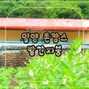 밀양빨간지붕 이미지