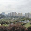 창원 유주비각 이미지