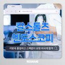 칼스톨츠엔도스코피코리아(유) | 지방대 졸업한 무스펙 지원자, 외국계 기업 칼스톨츠엔도스코피 합격 후기 Karlstorz Endoskope