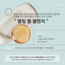 엘에스트랜스