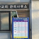 [양양 잔교리야영장] 38평화휴양마을캠핑장 B41번 사이트 애견동반 후기