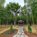 하대남강둔치 이미지