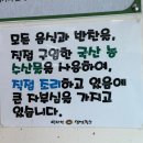 비타민생면국수 | 김해 장유 율하 맛집 [비타민생면국수] 내돈내산 칼국수집 추천