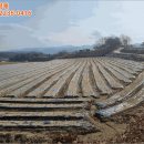 고평 마을회관 이미지