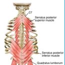 리얼메디칼 이미지
