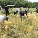 김동진농장 이미지