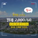 부자공인중개사사무소 | 도안부자공인중개사사무소 - 봉명동 단독/다가구 116.04㎡/55.0㎡ 2,000/60