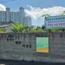 도동문화마을협동조합 | 송학동도시재생 푸른솔 도시농업체험장&반려식물동아리 방문 후기