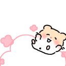 경동제이에이치개발