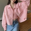 3017 이미지