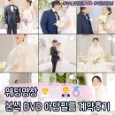 웨딩 DVDㅣ 부산 본식 DVD 영상 아담필름 계약 후기 + 짝꿍 찾아요!
