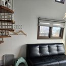 베일리애견풀빌라펜션 이미지