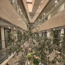 우진플러스 | 숙소 '베스트웨스턴 플러스 호텔' 객실 비품까지 상세하게 담은 내돈내산후기!!(with 스탠다드 트윈룸)