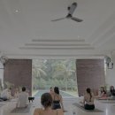 cherish puppy | Bali Ep.7 짱구 바이 사누르 하이