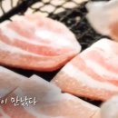내고향삼겹살