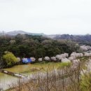 풍암호수공원 이미지