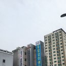 유치원 마약검사(유치원 서류준비: 마약검사 상세후기)