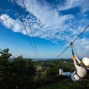 스포츠타운 인조잔디구장 이미지