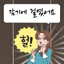 뽕차이 이미지