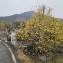 계척시목지 이미지