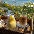 경천리 마을회관 앞 공중화장실 | 남해여행 남해 다랭이마을 카페 카페톨 오션뷰 유채꽃밭