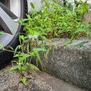 비상급수대 화장실 이미지