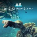 산호가든 | 코론 호핑투어D Reef &amp; Wrecks 일본 난파선 현지예약 후기 가격 식사 꿀팁 내돈내산 루송코랄가든