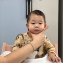 정후과일야채