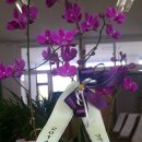 지례중학교구성분교장 이미지