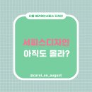 디자인서피스 이미지